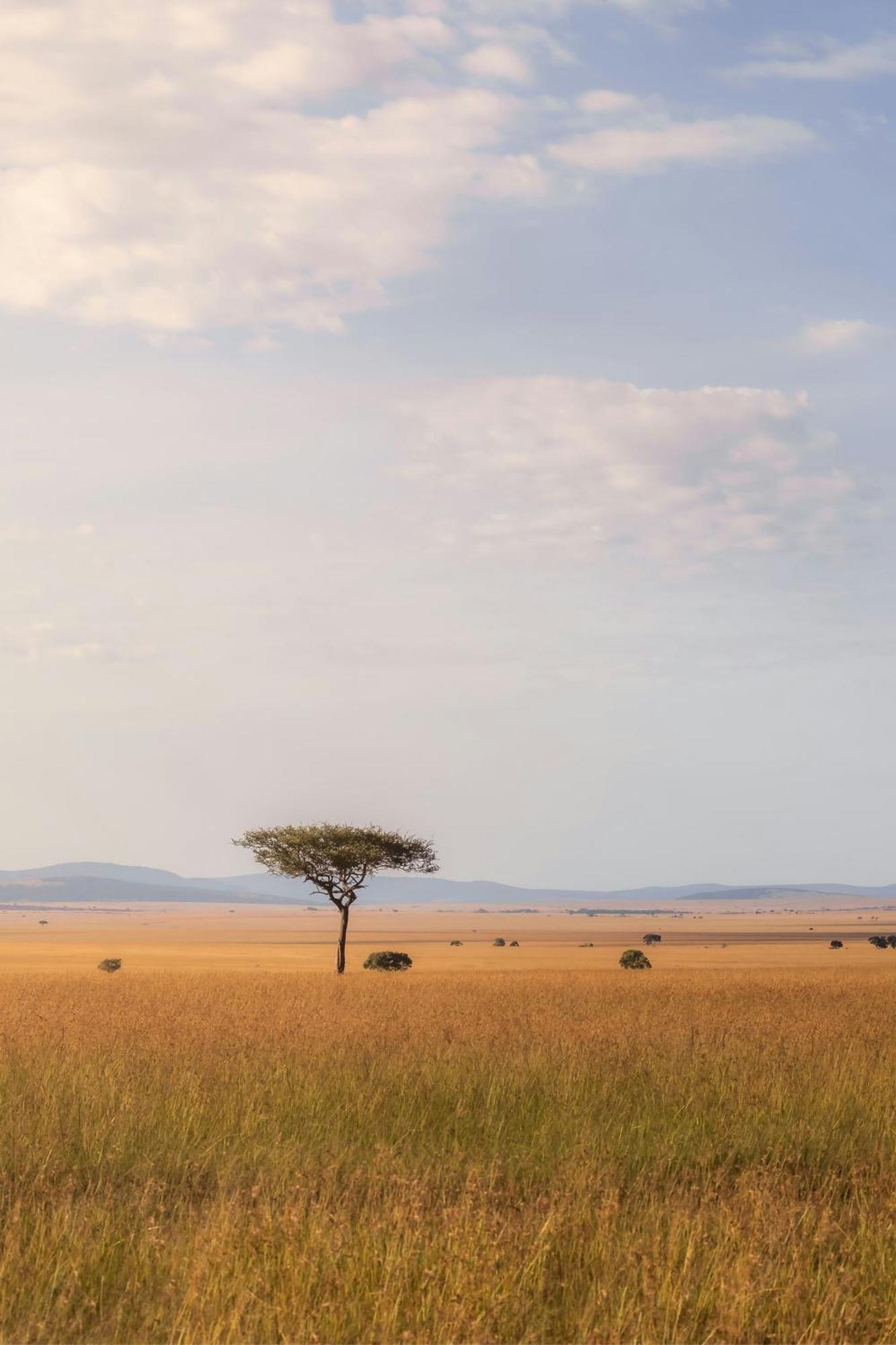 Jw Marriott Masai Mara Lodge Maasai Mara Exterior photo